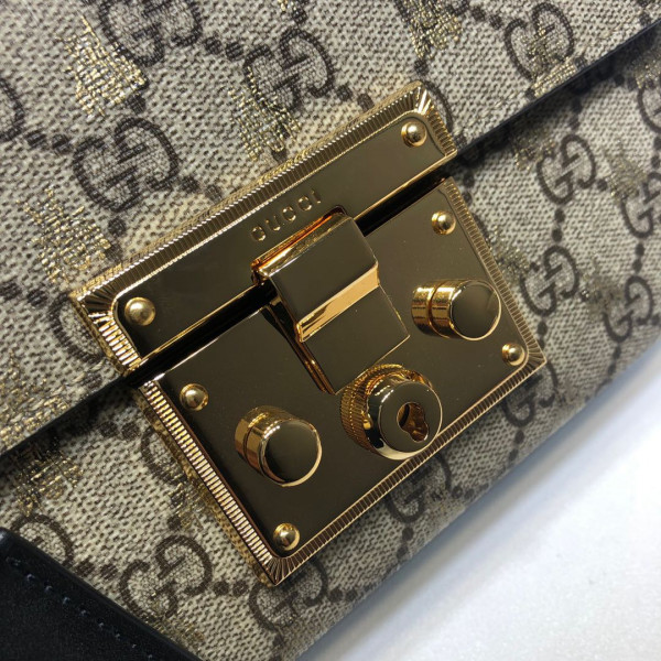 G*u*i padlock